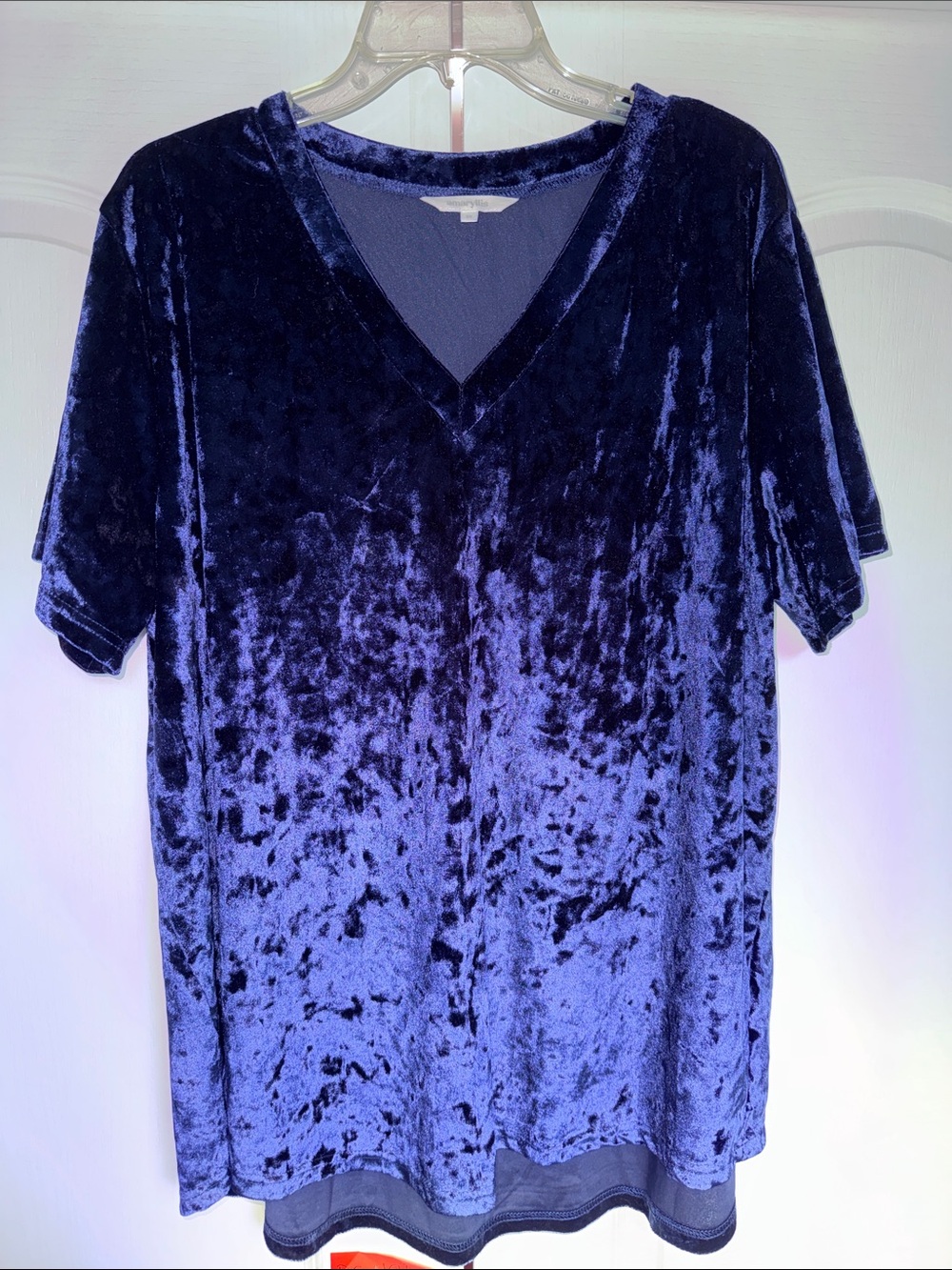 Amaryllis Crushed Velvet V-Neck Tunic in Deep Blue